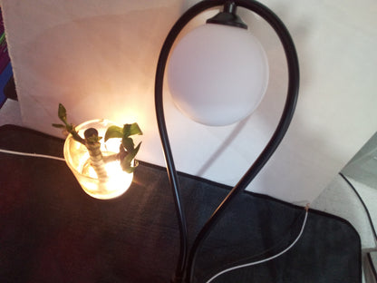 Nordisk væglampe i glas